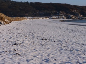 february 2010: a rare covering of snow